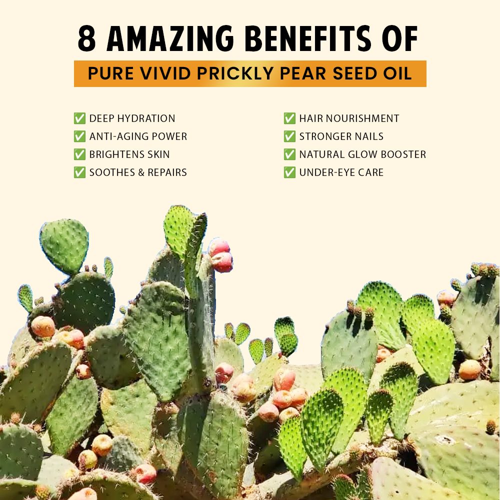 Organic Prickly Pear Oil - Image 4